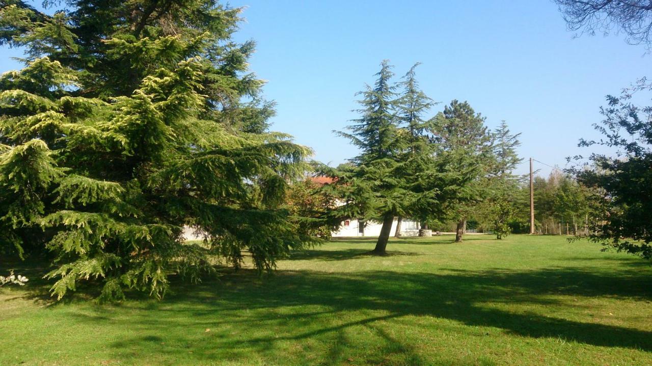 Le Pontet Panzió Miramont-de-Guyenne Kültér fotó